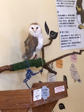 ワールド牧場に投稿された画像（2023/3/29）