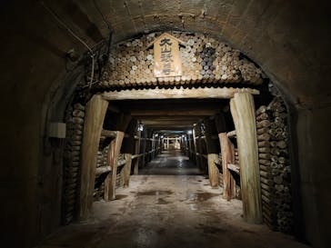 土肥金山に投稿された画像（2023/3/29）