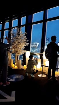 東京タワーに投稿された画像（2023/3/29）