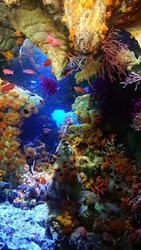 サンシャイン水族館に投稿された画像（2023/3/29）