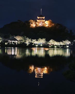 三溪園に投稿された画像（2023/3/29）