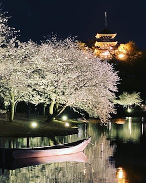 三溪園に投稿された画像（2023/3/29）