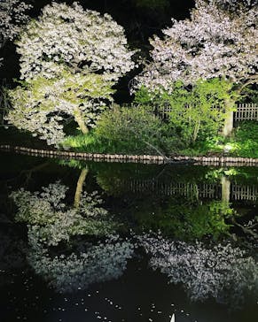 三溪園に投稿された画像（2023/3/29）