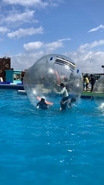 伊豆ぐらんぱる公園に投稿された画像（2023/3/29）