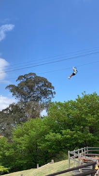 伊豆ぐらんぱる公園に投稿された画像（2023/3/29）