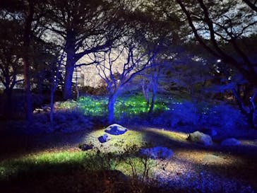 六義園に投稿された画像（2023/3/29）