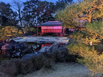 『NAKED FLOWERS 2023 桜 世界遺産・二条城』に投稿された画像（2023/3/29）