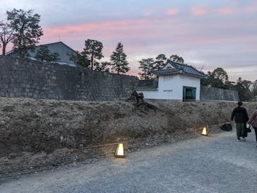 『NAKED FLOWERS 2023 桜 世界遺産・二条城』に投稿された画像（2023/3/29）