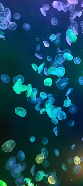 すみだ水族館に投稿された画像（2023/3/29）