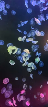 すみだ水族館に投稿された画像（2023/3/29）