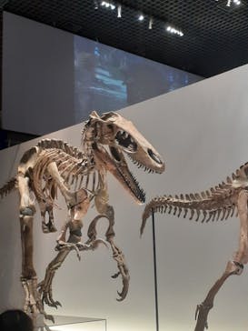 特別展「恐竜博2023」に投稿された画像（2023/3/29）