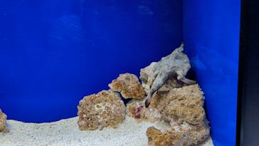 サンシャイン水族館に投稿された画像（2023/3/29）