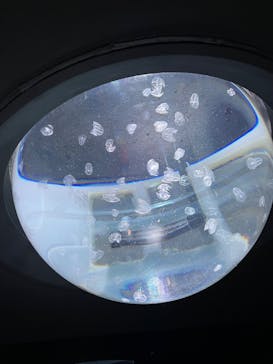 サンシャイン水族館に投稿された画像（2023/3/29）