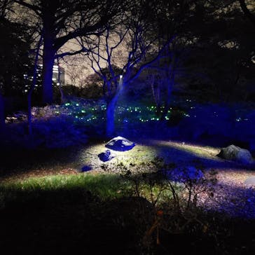 六義園に投稿された画像（2023/3/29）