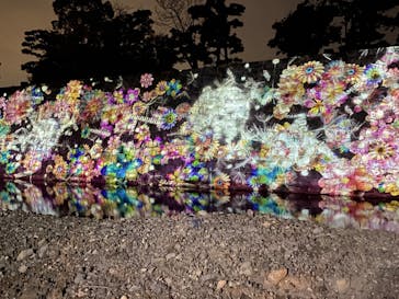 『NAKED FLOWERS 2023 桜 世界遺産・二条城』に投稿された画像（2023/3/29）