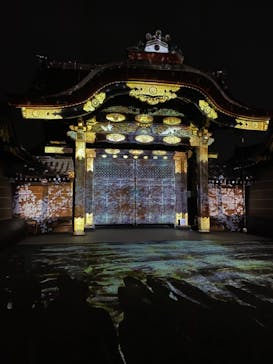 『NAKED FLOWERS 2023 桜 世界遺産・二条城』に投稿された画像（2023/3/29）