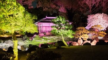 『NAKED FLOWERS 2023 桜 世界遺産・二条城』に投稿された画像（2023/3/29）