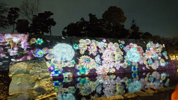 『NAKED FLOWERS 2023 桜 世界遺産・二条城』に投稿された画像（2023/3/29）