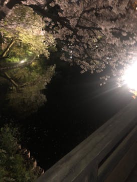 三溪園に投稿された画像（2023/3/29）