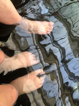 神戸どうぶつ王国に投稿された画像（2023/3/29）