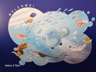 新江ノ島水族館に投稿された画像（2023/3/29）