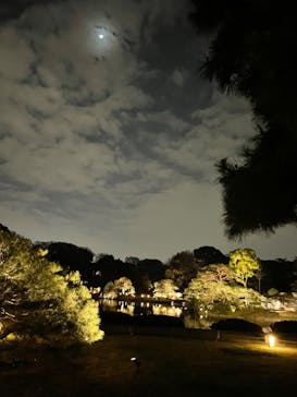 六義園に投稿された画像（2023/3/29）