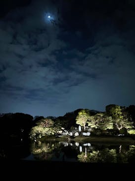 六義園に投稿された画像（2023/3/29）