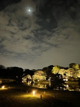 六義園に投稿された画像（2023/3/29）