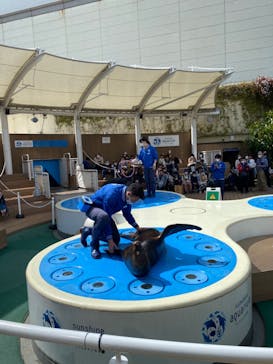 サンシャイン水族館に投稿された画像（2023/3/29）
