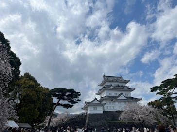 小田原城に投稿された画像（2023/3/29）