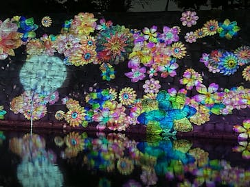 『NAKED FLOWERS 2023 桜 世界遺産・二条城』に投稿された画像（2023/3/29）