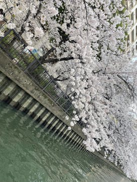 インディクルーズに投稿された画像（2023/3/29）