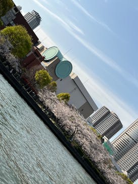 インディクルーズに投稿された画像（2023/3/29）