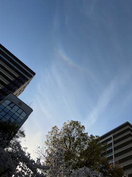 インディクルーズに投稿された画像（2023/3/29）