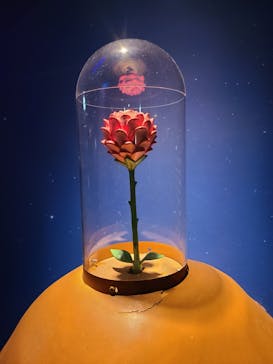 星の王子さまミュージアム 箱根サン=テグジュペリに投稿された画像（2023/3/29）