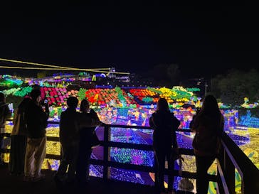 伊豆ぐらんぱる公園に投稿された画像（2023/3/29）