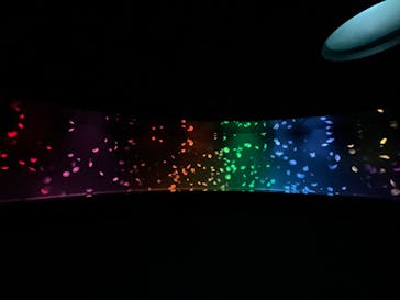 サンシャイン水族館に投稿された画像（2023/3/29）