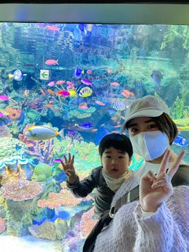 サンシャイン水族館に投稿された画像（2023/3/29）
