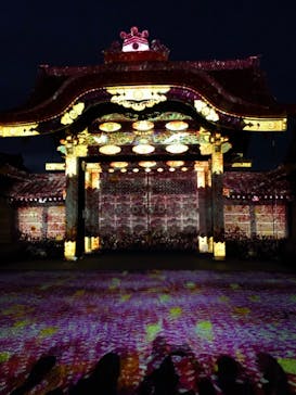 『NAKED FLOWERS 2023 桜 世界遺産・二条城』に投稿された画像（2023/3/29）