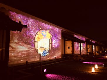 『NAKED FLOWERS 2023 桜 世界遺産・二条城』に投稿された画像（2023/3/29）