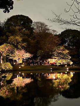 六義園に投稿された画像（2023/3/29）