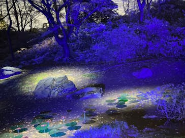 六義園に投稿された画像（2023/3/29）