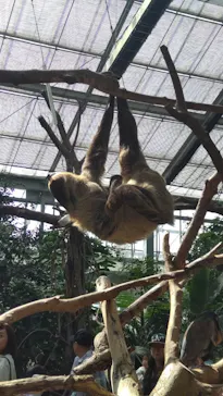 神戸どうぶつ王国に投稿された画像（2023/3/29）