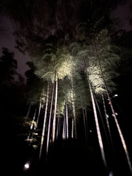 六義園に投稿された画像（2023/3/29）