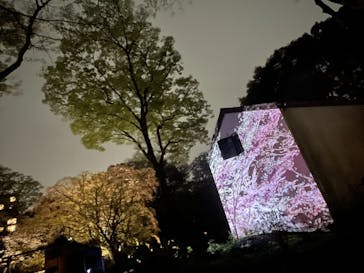 六義園に投稿された画像（2023/3/29）