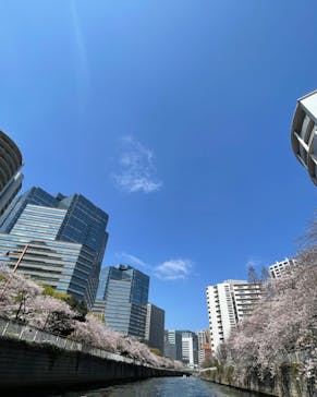 東京ウォータウェイズに投稿された画像（2023/3/29）