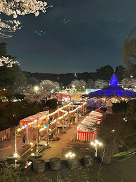 西武園ゆうえんちに投稿された画像（2023/3/29）