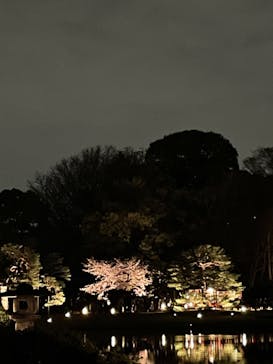 六義園に投稿された画像（2023/3/29）
