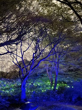 六義園に投稿された画像（2023/3/29）