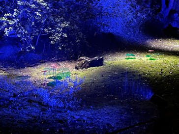 六義園に投稿された画像（2023/3/29）